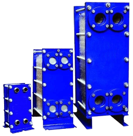 ���� ������������� ���������