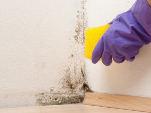 ��� ���������� �� ������� �� ������