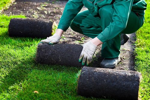 ������� ��������� ������: ���������� � ������ �������� 