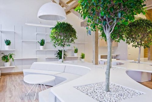 ������������� �������� � ���������: �� ���� � ����������