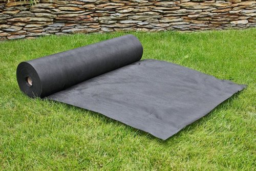 �����������: �������� �����������