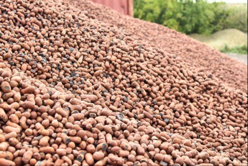 ��������: ����������� � ������������ ���������