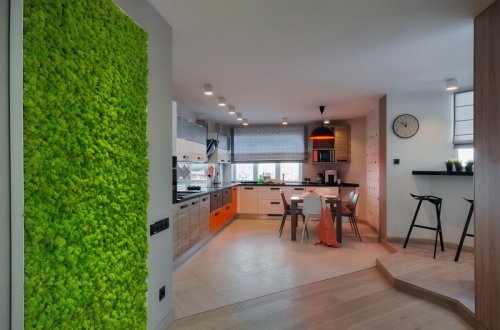 C���������������� ��� � ���������