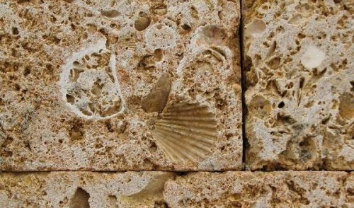 ��� ����� ������ ��������� ����������