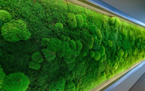 ��������� �� ������������������ ���: ��� ��� �����