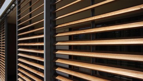 ������������ �������� ������