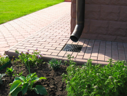 ����� ���� ��������