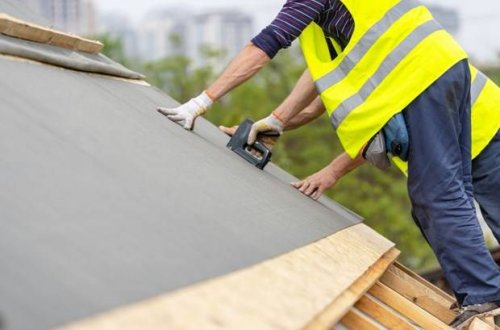 ��� ���� ����� ������������������ ��������