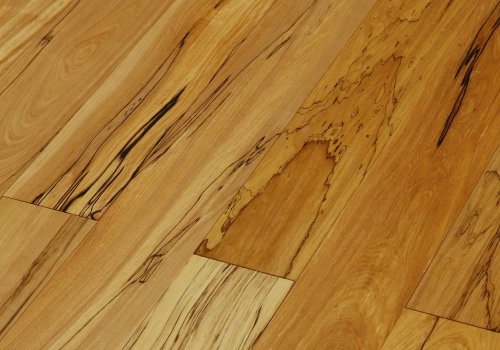 ��������� �����: ����� ���������� ��������