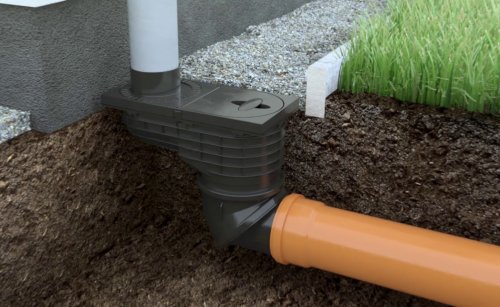 ������������: ����������� � ������������ 