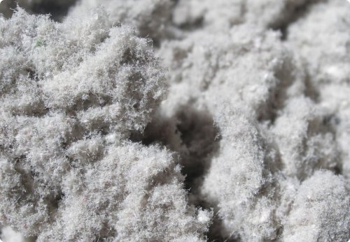 �������: ������������ ���������