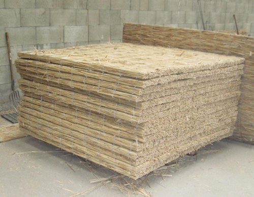 ����������� �����: ������������ ���������