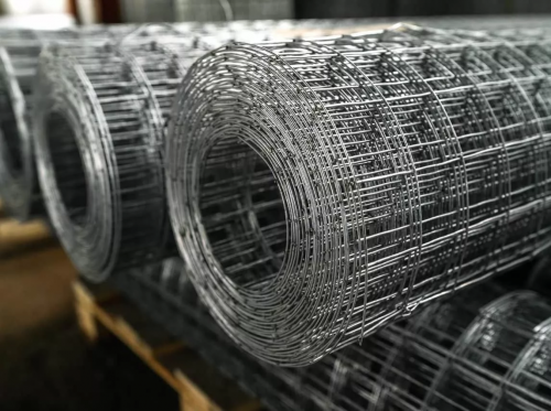 ��� ����� ����� �������